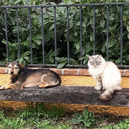 Dolceturismo Fontecaime...relax... *