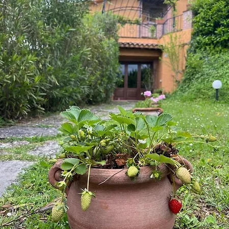 Dolceturismo Fontecaime...relax...