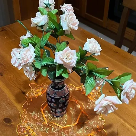 Dolceturismo Fontecaime...relax... Appartement *